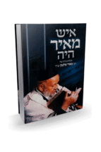 מנחת איש מאיר