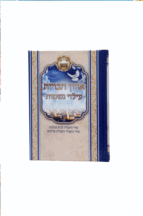 ארון הברית עילוי