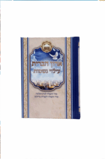 ארון הברית עילוי