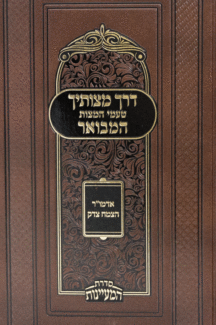 דרך מצותיך דרך מצותיך