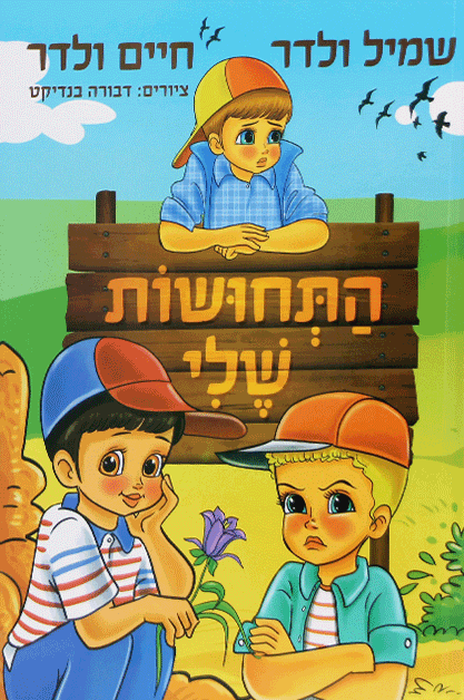 התחושות שלי