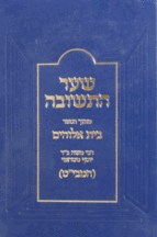 התשובה למביט