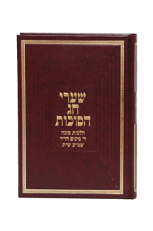 שערי חג הסוכות