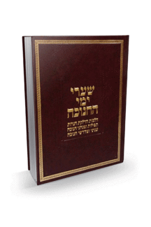 שערי ימי החנוכה