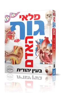 פלאי גוף האדם