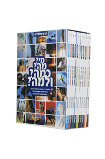 מי-מה-הדמיה