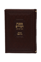 משנת חסידים