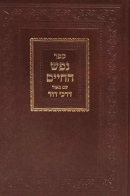 נפש דרכי דוד