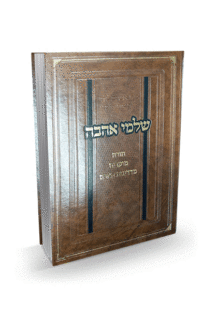 שלמי אהבה הדמיה שלמי אהבה