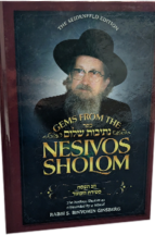NESIVOS SHALOM PESACH