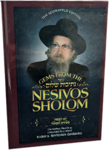 NESIVOS SHALOM PESACH