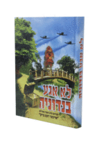 לא אגע בנדוניה