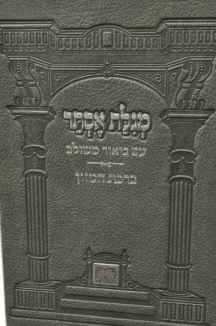 מגילת אסתר ביאור משולב קשה