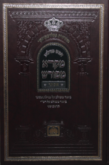 מקרא מפורש מגילת אסתר גדול (24 ס”מ)