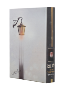 ללא שם – על הגרב”צ פלמן זצ”ל