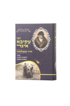 ר’ עקיבא איגר חייו ופעולותיו