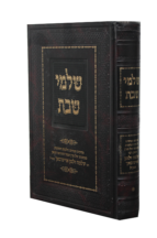 שלמי שבת – הגרש”ז אוירבעך זצ”ל