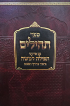 תהילים עם פירוש תפילה למשה – הרב מיכל שטרן