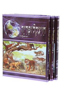 חיצקלופדיה חדש