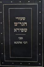 שיעורי הגר"מ שפירא - סבי דבי אתונא