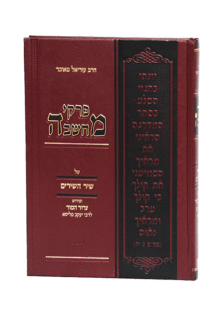 פרקי שיר השירים