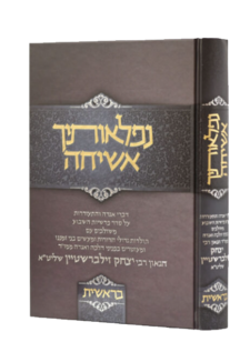 נפלאותיך אשיחה