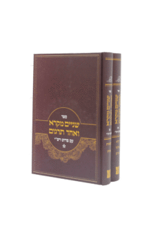 שניים מרקא ואחד תרגום