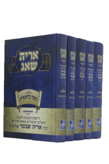 אריה שאג סט