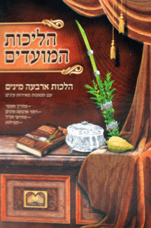 הליכות המועדים הליכות המועדים