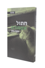 חתול אשמורת
