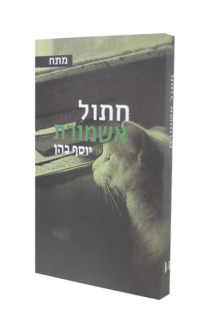 חתול אשמורת