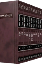 שס וילנא בינוני מורחב 27 כרכים