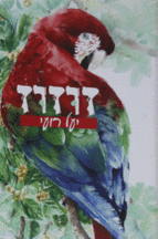 זוזו