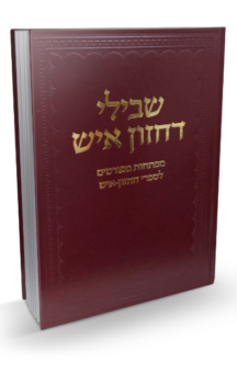 שבילי דחזון איש