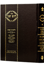 חוט שני שבת א-ב