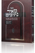 מאיר נתיבים