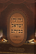 גדולי ישראל בביתם