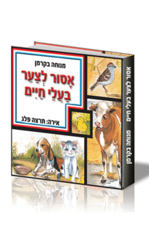 אסור לצער