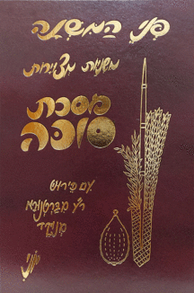 פני-המשנה-סוכה פני המשנה סוכה