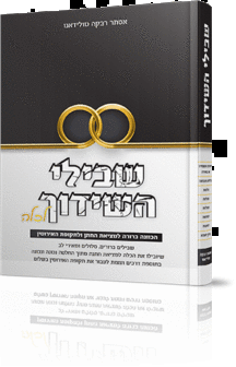 שבילי השידוך