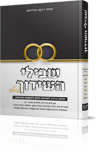 שבילי השידוך