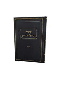 שיעורי רבי אליהו ברוך יבמות