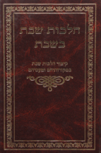 הלכות שבת בשבת