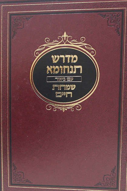 מדרש תנחומא