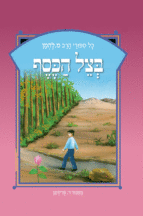 להמן 11 בצל הכסף