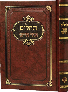 תורת משה החדש