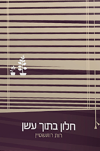 חלון בתוך עשן