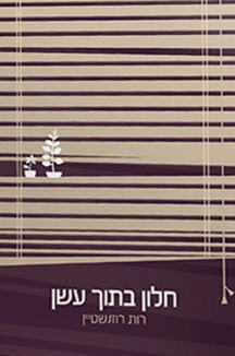 חלון בתוך עשן