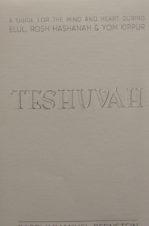 TESHUVA תשובה