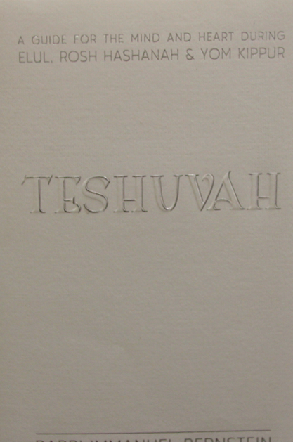TESHUVA תשובה